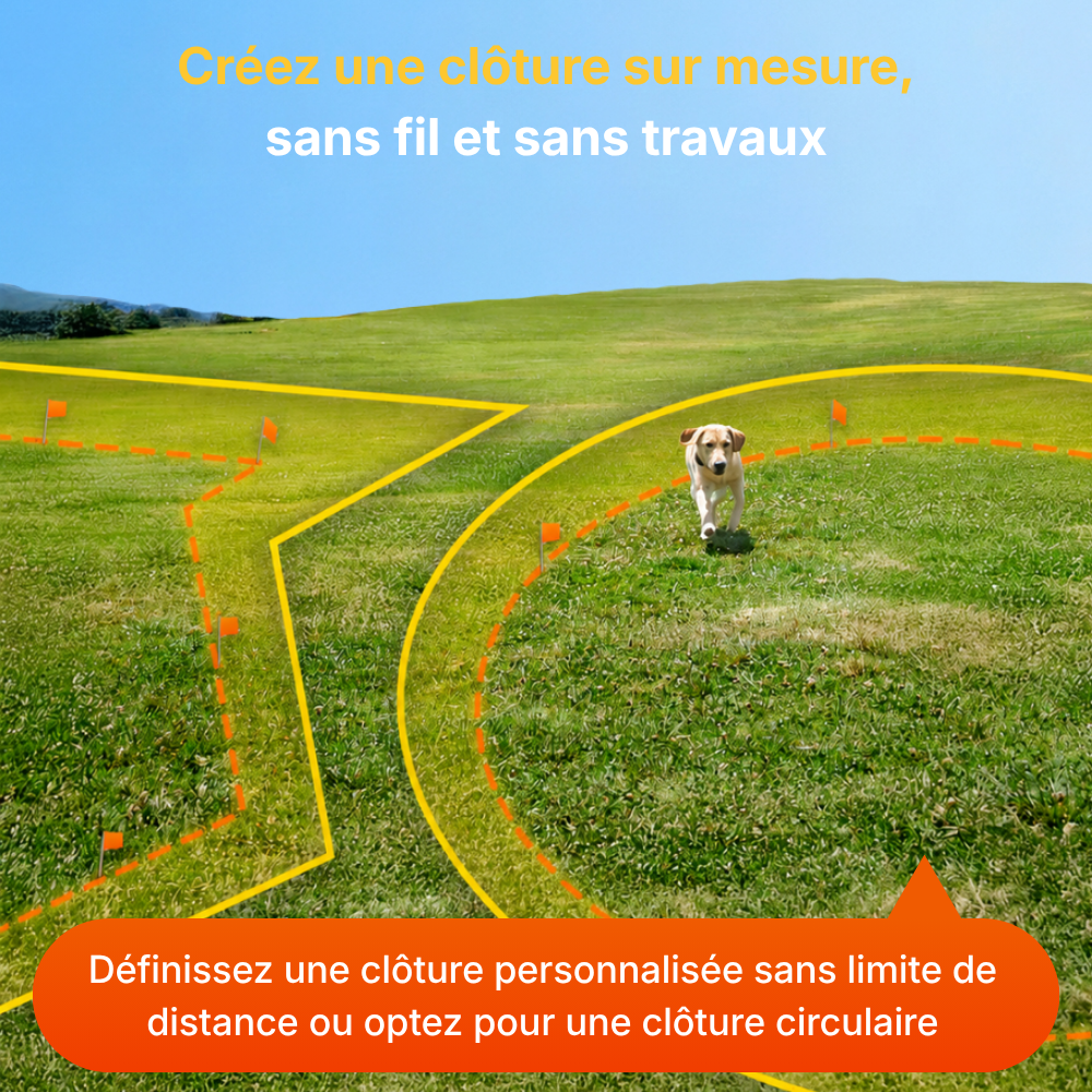 Clôture Anti-Fugue pour Chien sans Fil - Olikoo Elite