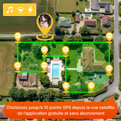 Clôture Anti-Fugue pour Chien sans Fil - Olikoo Elite+