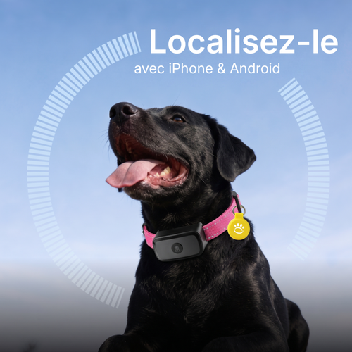 1 x Traceur pour Chien Sans Abonnement Owlikoo