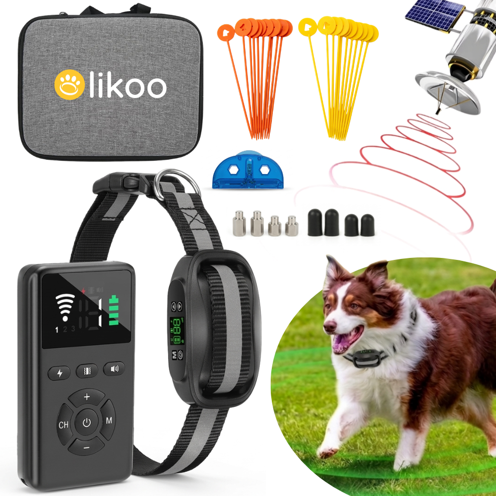 Clôture Anti-Fugue pour Chien sans Fil - Olikoo Max