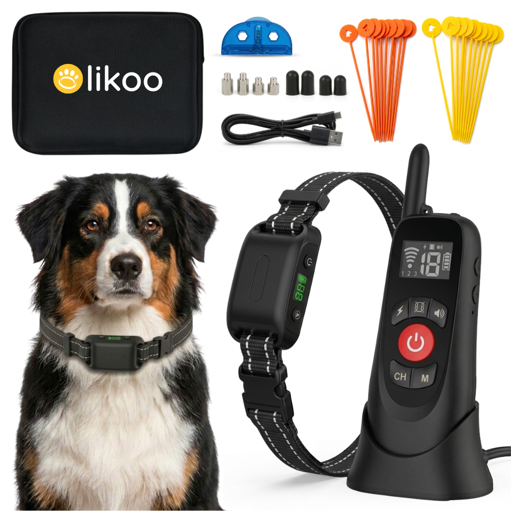 Clôture Anti-Fugue pour Chien sans Fil - Olikoo Pro