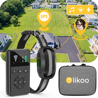 Clôture Anti-Fugue pour Chien sans Fil - Olikoo Max