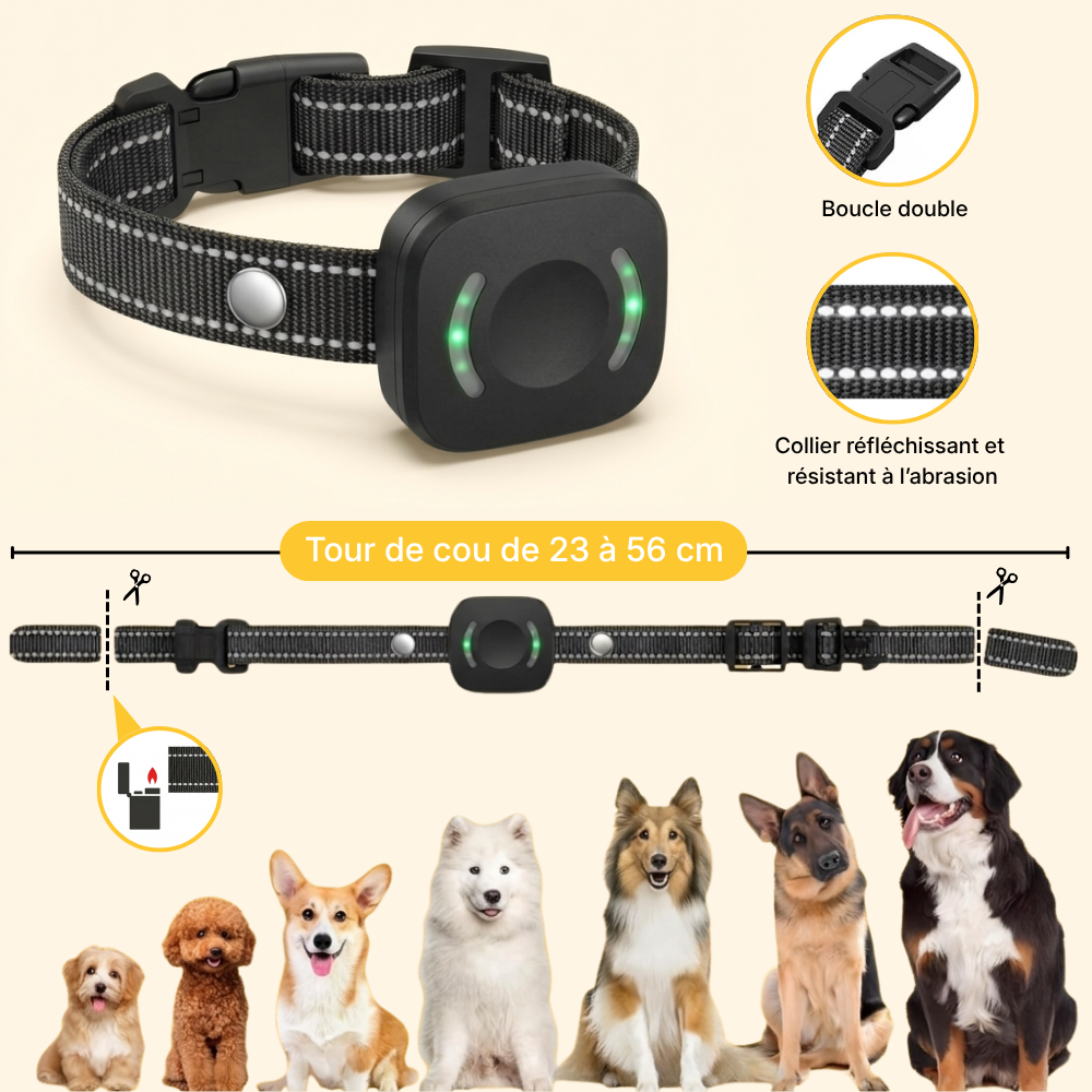 Clôture Anti-Fugue pour Chien sans Fil - Olikoo Plus