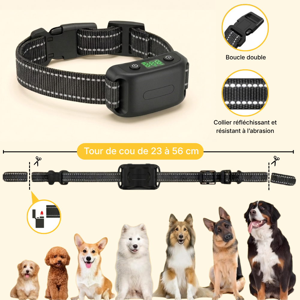 Clôture Anti-Fugue pour Chien sans Fil - Olikoo Pro