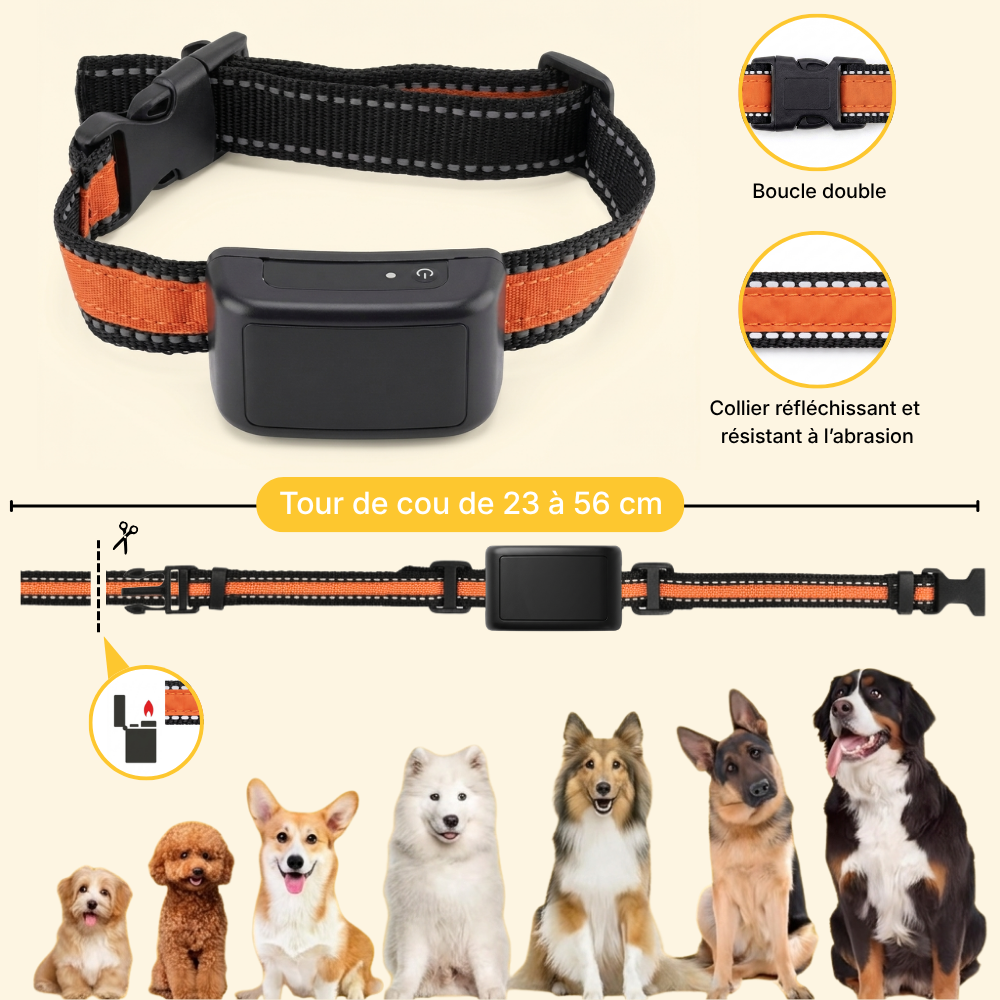 Clôture Anti-Fugue pour Chien sans Fil - Olikoo Ultra