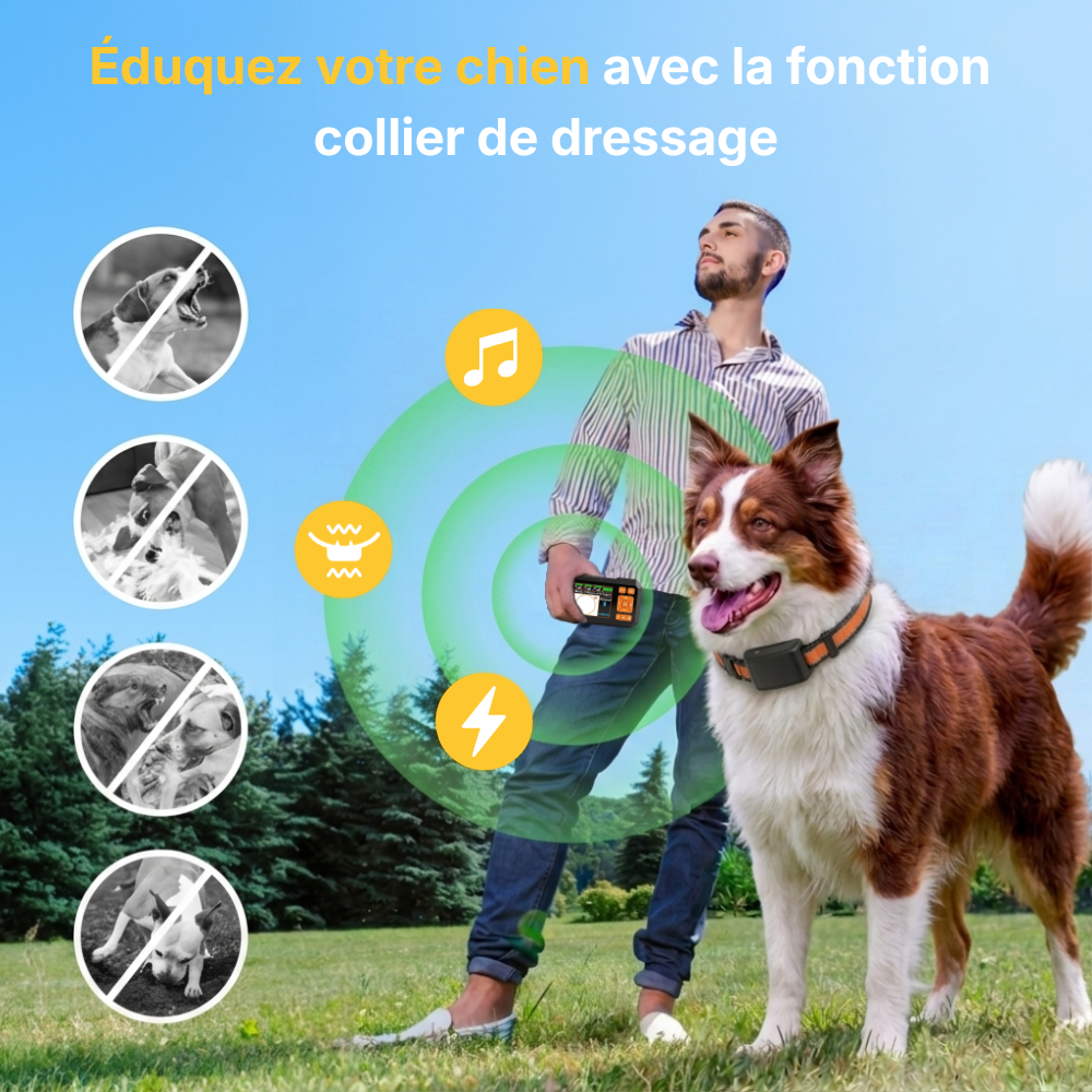 Clôture Anti-Fugue pour Chien sans Fil - Owlikoo Ultra