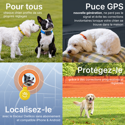 Clôture Anti-Fugue pour Chien sans Fil - Owlikoo Elite+
